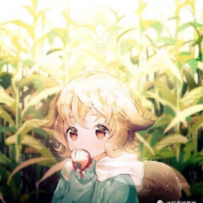 招行日赚超4亿